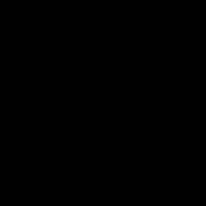 Meet your Posher, Cody